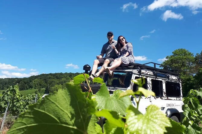 The Must-See: Champagne Tasting in the Vineyard - Champagne Tasting
