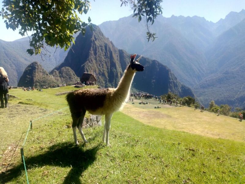 The Mysteries of Cusco and Machupicchu Huchuy Qosqo - Key Points