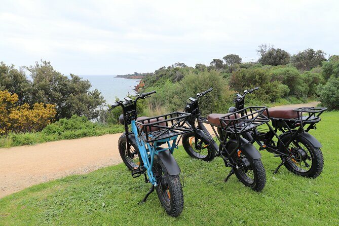 The Mystery of Muscat Guided Tour and Tasting - The Value of This Tour