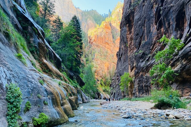 The Narrows: Zion National Park Private Guided Hike - Geological Formations and Wildlife