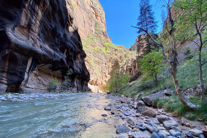 The Narrows: Zion National Park Private Guided Hike - Accessibility and Health Considerations