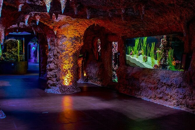 The National Aquarium Abu Dhabi Admission Tickets - Admission Ticket Details