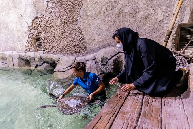 The National Aquarium Abu Dhabi Admission Tickets - Aquarium Review Highlights