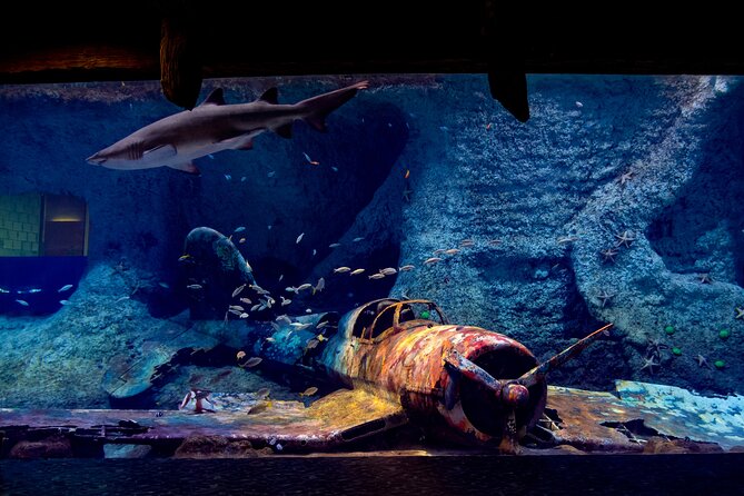 The National Aquarium Abu Dhabi Admission Tickets - Accessibility and Amenities