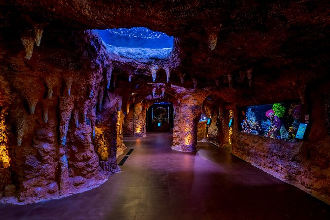 The National Aquarium Abu Dhabi Admission Tickets - Visitor Reviews and Ratings