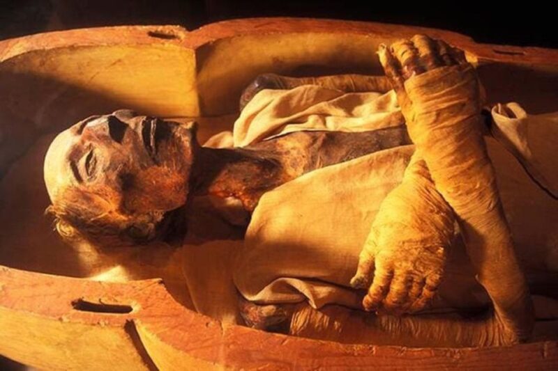 The National Museum of Egyptian Civilization - Visitor Amenities