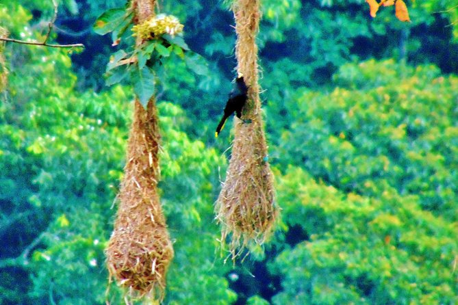 The Native Expedition - Sierra Nevada (2 Days Discovering Chorrerón Waterfall) - About the Tour