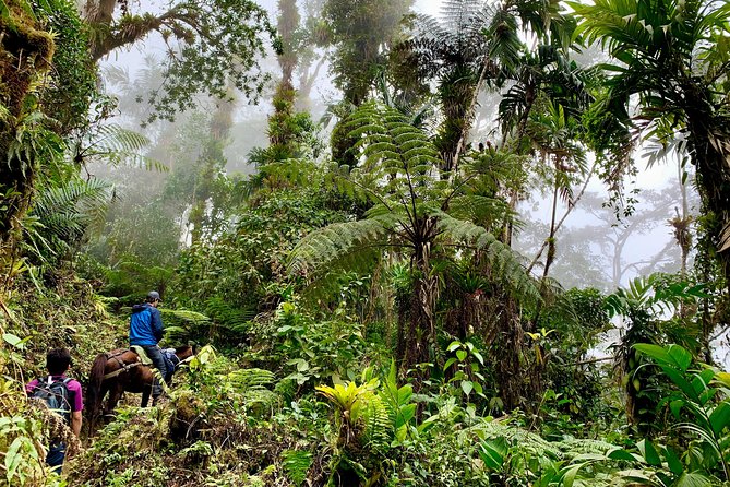 The Native Expedition - Sierra Nevada (4 Days Path of Waterfalls) - Overview of the Expedition
