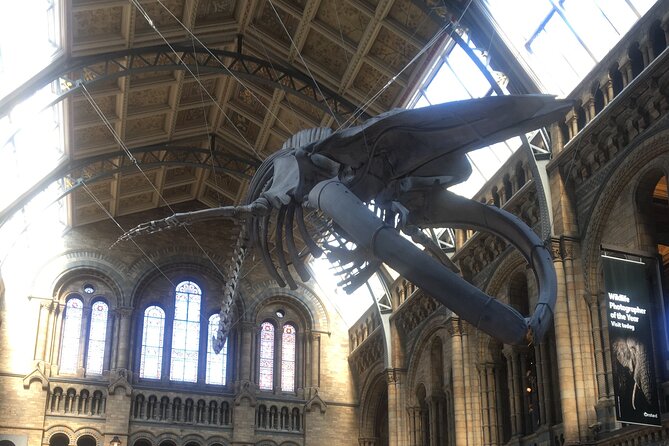 The Natural History Museum Guided Tour in London - Pricing and Cancellation