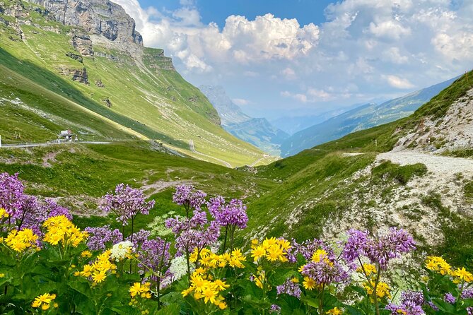 The Natural Wonders of Switzerland: Private Tour From Basel (1 Day) - Weather Challenges