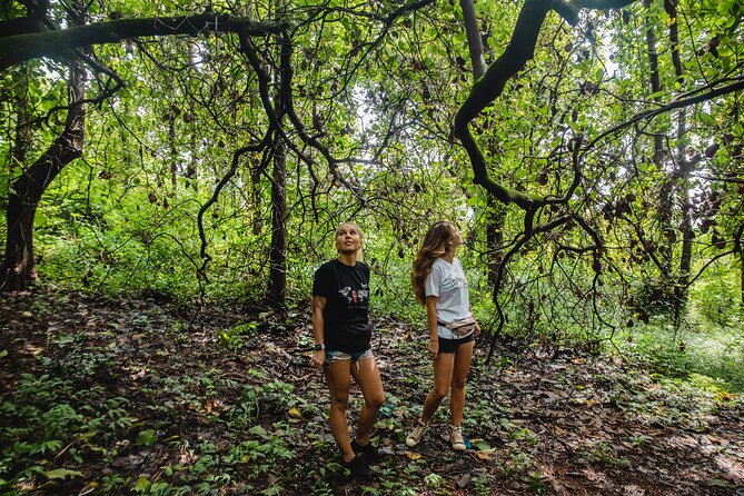 The Nature Trail at Chorao Island - Additional Recommendations