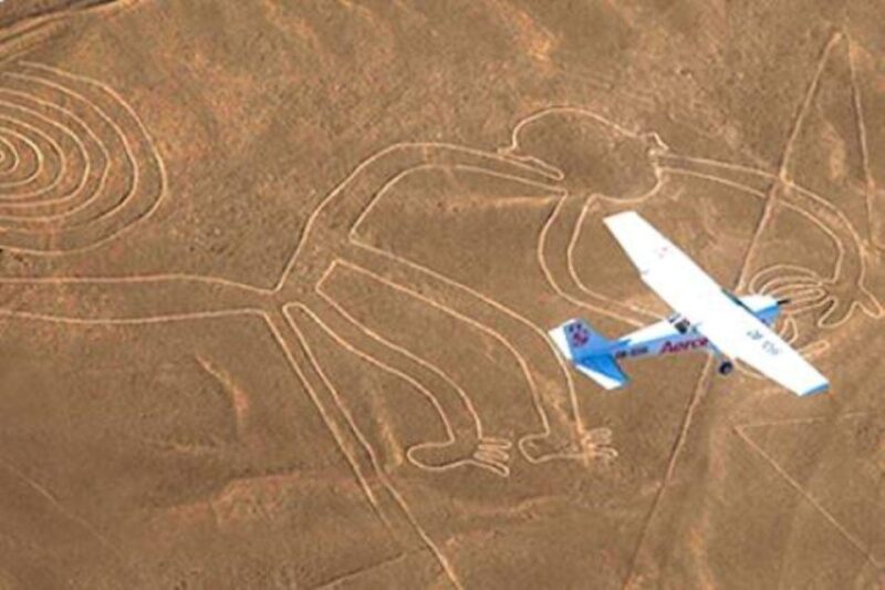 The Nazca Lines & Buggy at Huacachina Oasis - Full Day - Nazca Lines Experience
