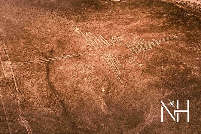 The Nazca Lines Flight From Pisco Airport & Huacachina Oasis - Discovering the Huacachina Oasis
