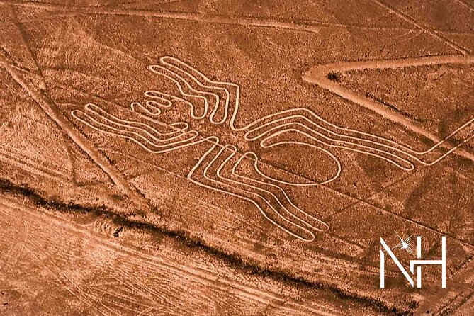 The Nazca Lines Flight From Pisco Airport & Huacachina Oasis - Thrilling Sand Buggy Adventure