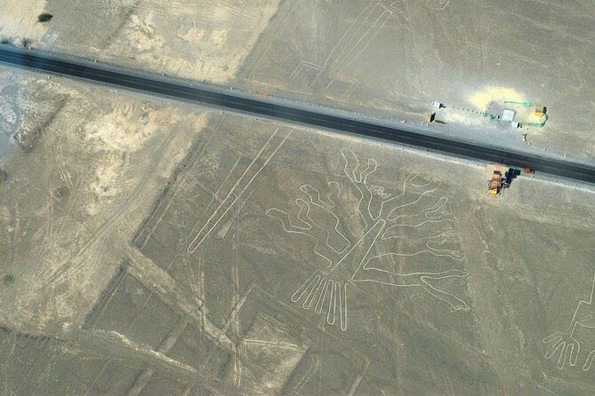 The Nazca Lines Flight Tour & Huacachina Oasis - Private Trip - Group Size and Pricing