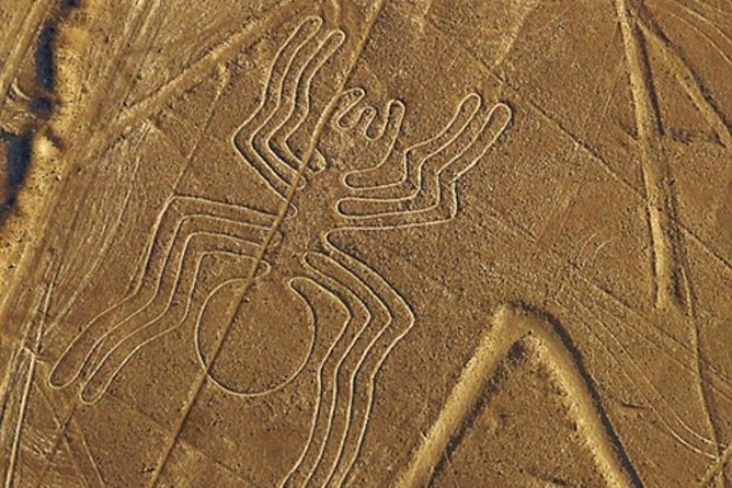The Nazca Lines Flight Tour & Huacachina Oasis - Private Trip - Cancellation and Guarantees