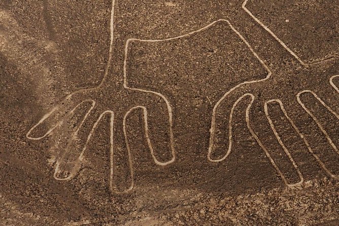 The Nazca Lines Flight Tour & Huacachina Oasis - Private Trip - Nazca Lines Flight Experience