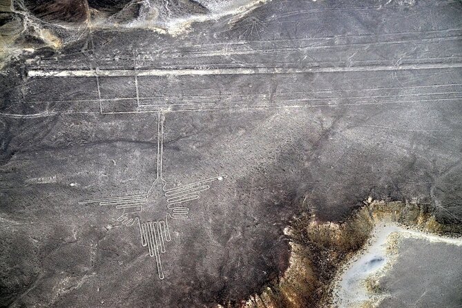 The Nazca Lines Flight Tour & Huacachina Oasis - Private Trip - Huacachina Oasis Activities