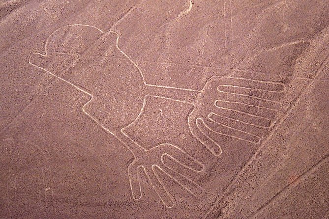 The Nazca Lines Flight Tour & Huacachina Oasis - Private Trip - Customer Reviews