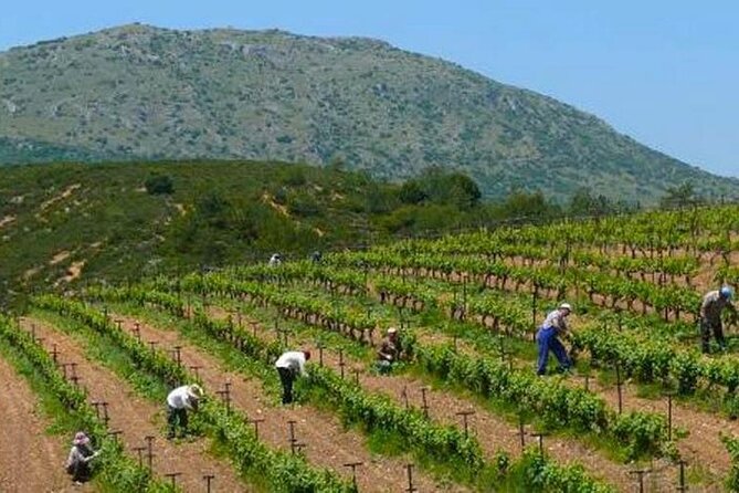 The Nemea Wine Roads With Breathtaking Nafplion Private Tour - Meeting and Pickup Details