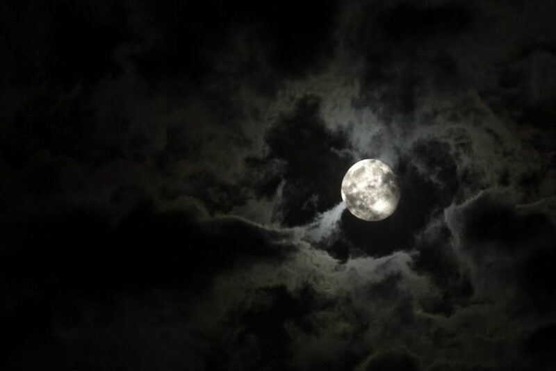 The New Orleans Darkness Tour - Guided by Knowledgeable Storytellers
