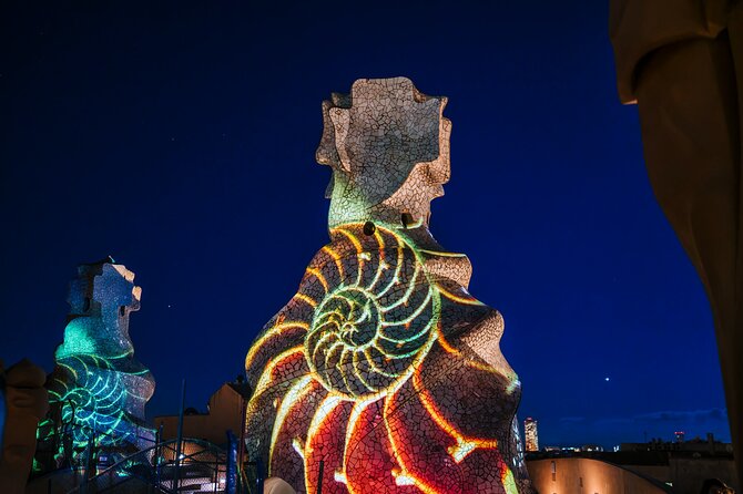 The Night Experience at La Pedrera - Casa Mila - Wheelchair Accessibility and Service Animals