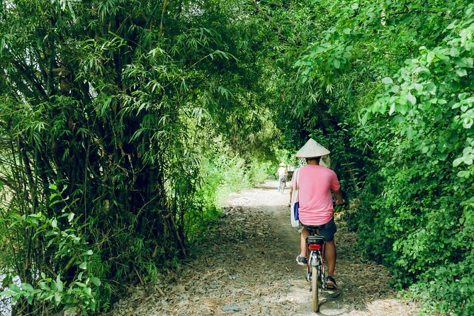 The Ninh Binh E-Bike Experience From Ninh Binh Hotels - Health and Accessibility Considerations