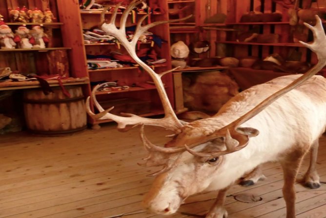 The North Cape, Reindeer and Sami Families Tour - Discovering Sami Culture