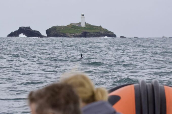 The North Coast Boat Trip Experience - Majestic Pendeen Lighthouse