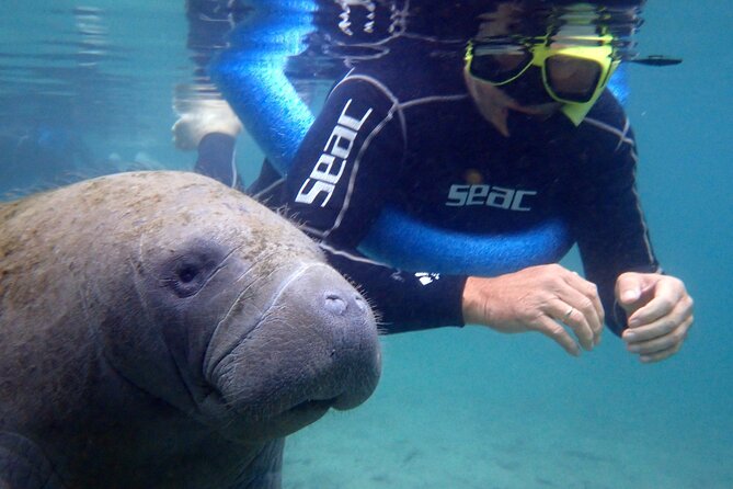 The OG Manatee Snorkel Tour With In-Water Guide/Photographer - Meeting and Pickup