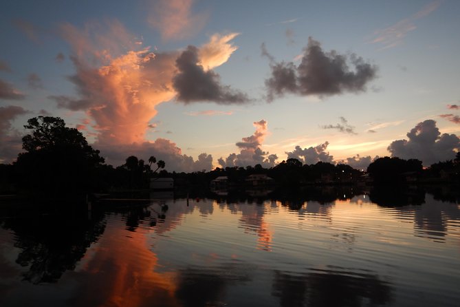 The OG Manatee Snorkel Tour With In-Water Guide/Photographer - Guided Experience Highlights
