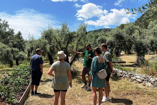 The Olive Oil Experience @ Lefkada Micro Farm - Reviews and Ratings