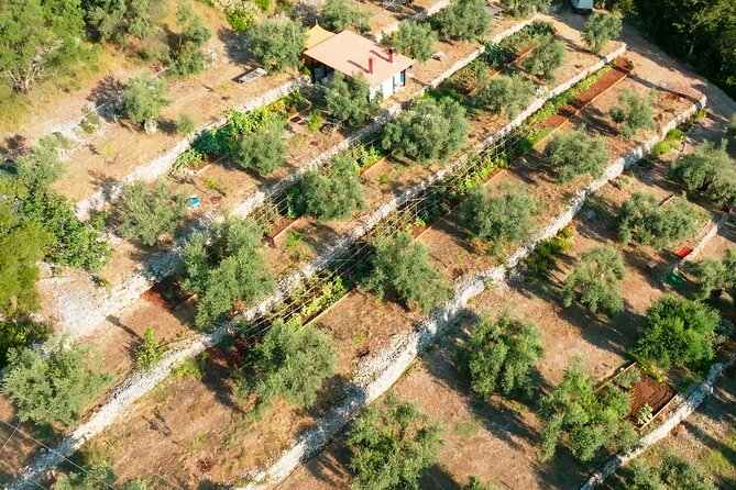 The Olive Oil Experience @ Lefkada Micro Farm - Group Size and Confirmation