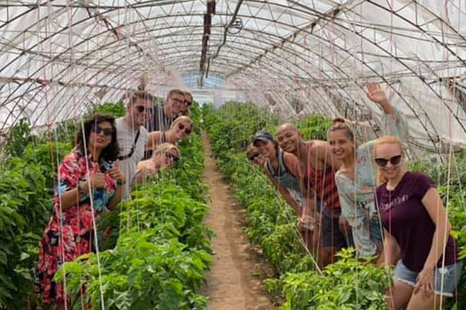 The One&Only Hot Farm Private Tasting Options - Booking and Cancellation