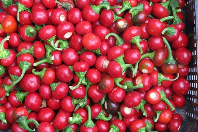 The One&Only Hot Farm Private Tasting Options - Guest Reviews and Ratings