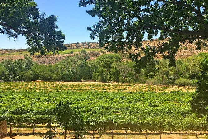 The Original 4 Winery Tour With Charcuterie - Cancellation Policy and Additional Notes
