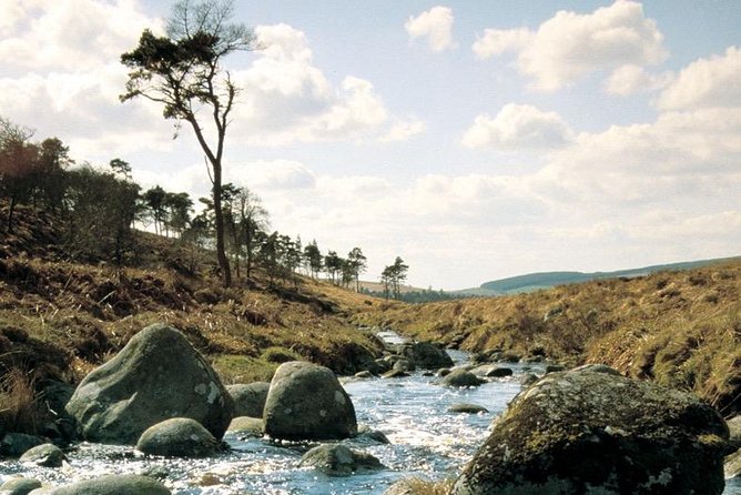 The Original Award Winning Wild Wicklow Tour Incl. Glendalough - Glendalough Monastic Settlement