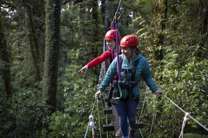 The Original Canopy Zipline Experience Private Tour From Auckland - Cancellation Policy