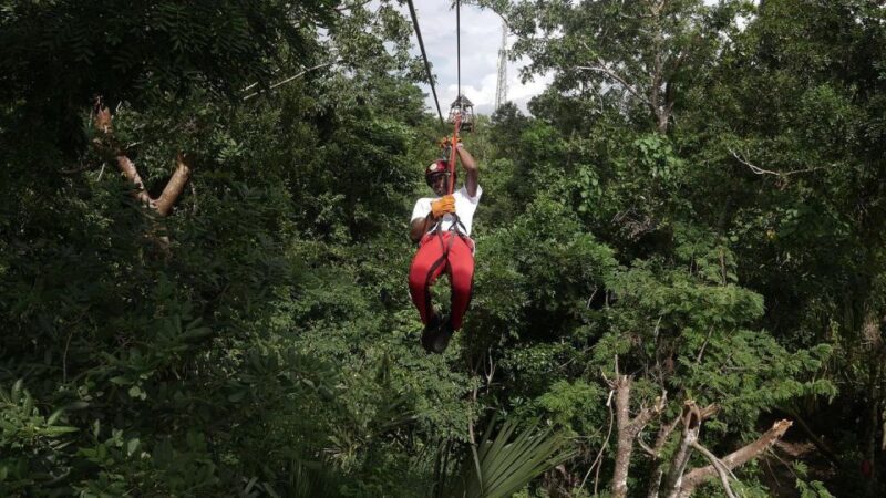 The Original Cozumel Zipline Adventure - Key Points