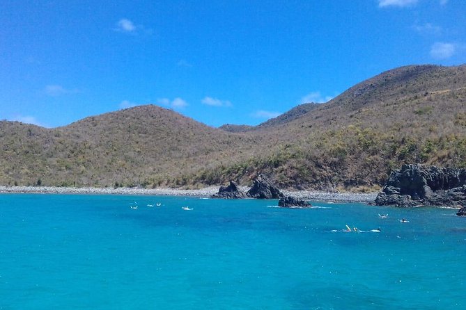 The Original Eco Tour Full-Day Around the Island of Sint Maarten - Customer Reviews and Experiences