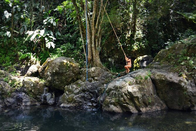 The Original El Yunque Rainforest Waterslide Tour - Exploring the Rainforest