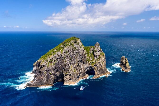 The Original Full Day Bay of Islands Cruise With Dolphins - Inclusions