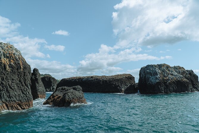 The Original Full Day Bay of Islands Cruise With Dolphins - Island Stopover