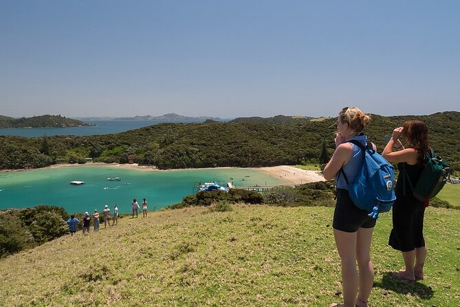 The Original Full Day Bay of Islands Cruise With Dolphins - Dolphin Sightings