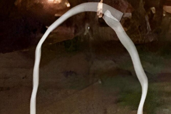 The Original Ghosts of Williamsburg Tour - Additional Tour Information