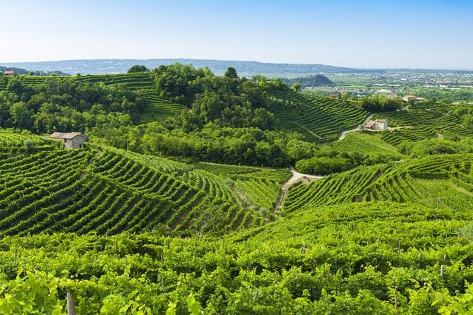 The Original Private Prosecco Tour All Inclusive From Conegliano - Good To Know