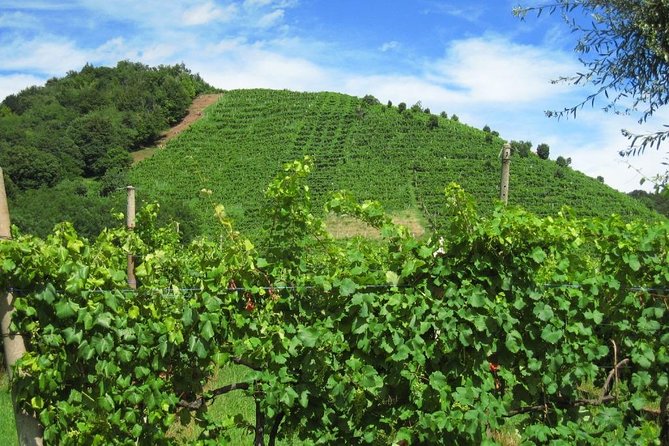 The Original Private Prosecco Tour All Inclusive From Conegliano - Wineries and Tastings
