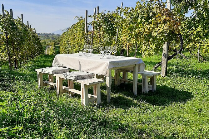 The Original Private Prosecco Tour All Inclusive From Conegliano - Conegliano and Valdobbiadene