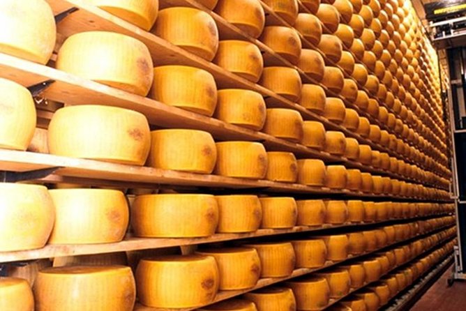 The Parmigiano Reggiano - Parmesan Cheese Museum - Key Points