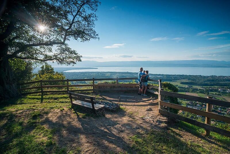 The Pearl of Lake Geneva 2days/1nights From Geneva - Inclusions